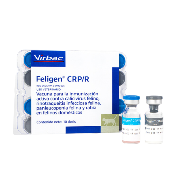 Feligen® CRP/R