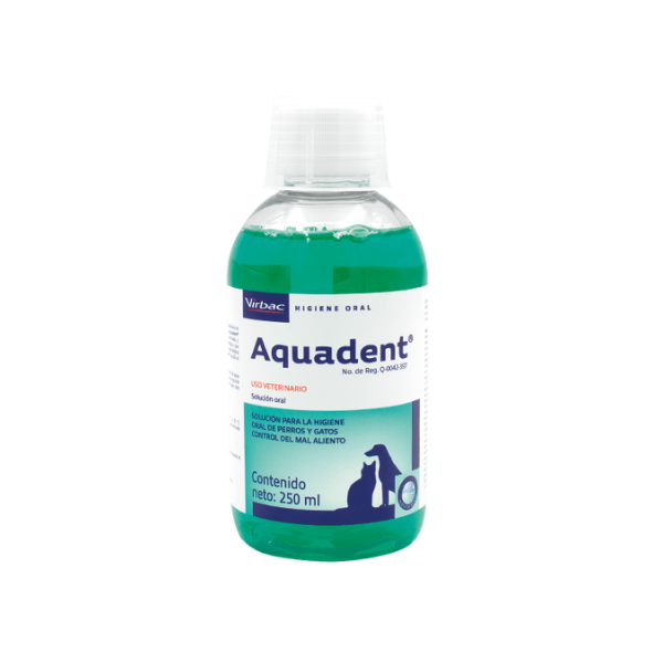 Aquadent