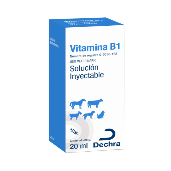 Vitamina B1