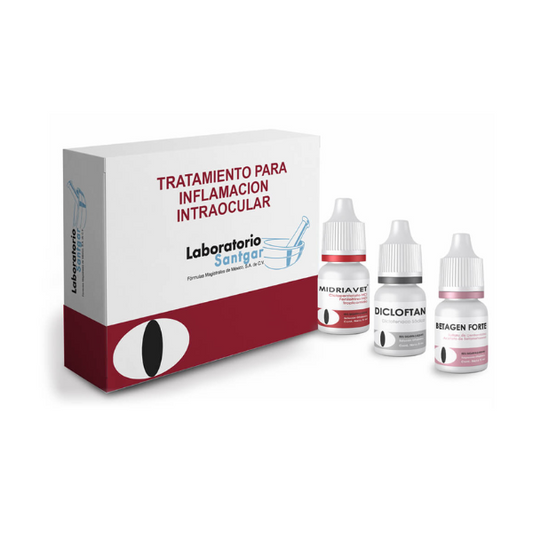 Kit para Inflamación Intraocular