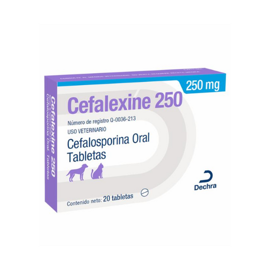 Cefalexine 250mg