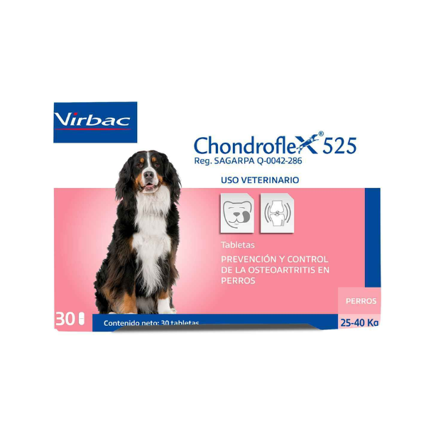 Chondroflex