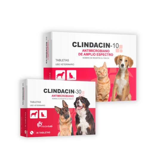 Clindacin